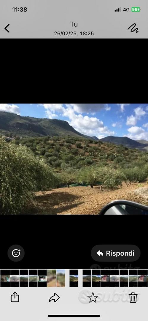 Terreno agricolo - Vista 4