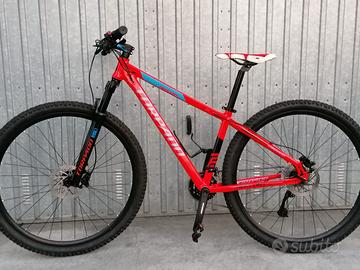 MTB Torpedo Mercury 29