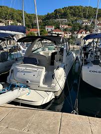 SeaRay 315