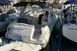 SeaRay 315