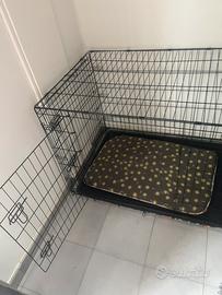 Kennel