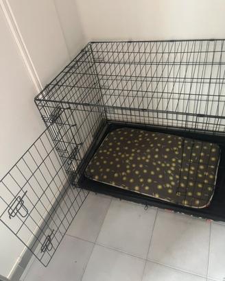 Kennel
