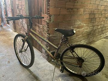 Mountain bike