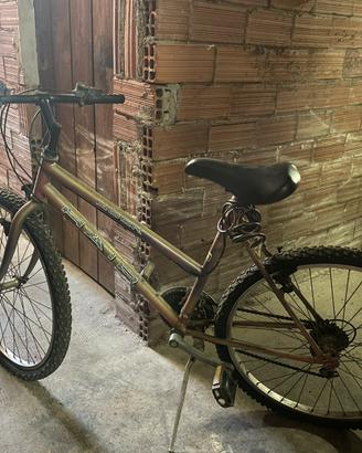 Mountain bike