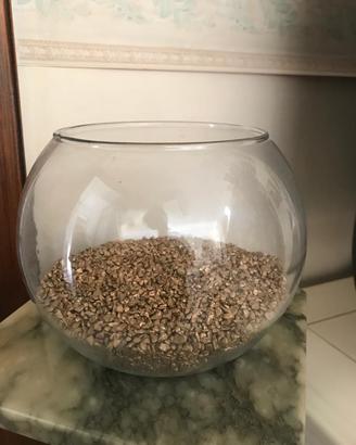 Vaso in vetro