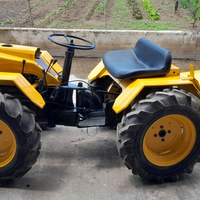 Motocoltivatore trattore fresa pasquali