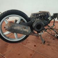 motore ditech scarabeo 50 2 tempi a iniezione 