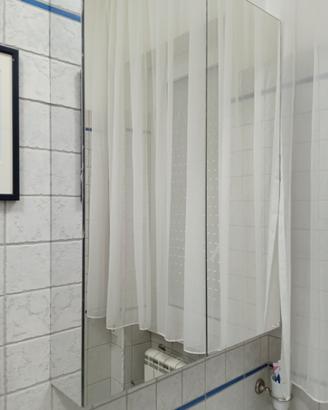 SPECCHIERA BAGNO CON CONTENITORE 