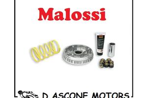 Variatore Malossi Multivar 2000 xmax xcity 250