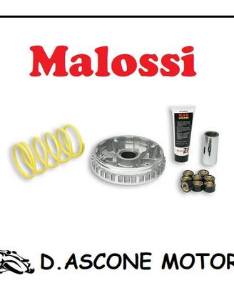 Variatore Malossi Multivar 2000 xmax xcity 250