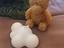 Immagine 1