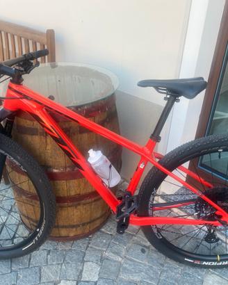 Bicicletta ktm