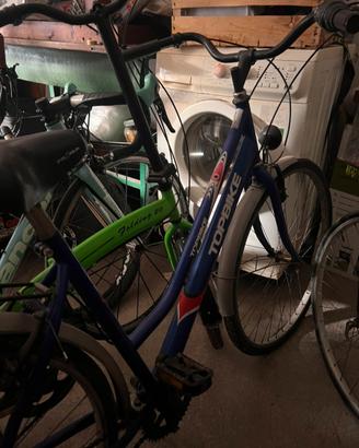 bici da passeggio