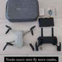 Mavic mini fly more combo