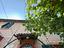 Immagine 24