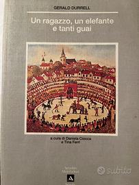 Libro Un ragazzo, un elefante e tanti guai