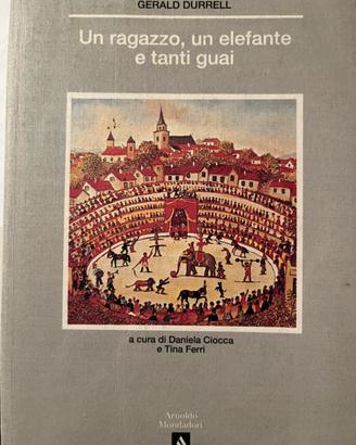 Libro Un ragazzo, un elefante e tanti guai