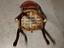 Immagine 4