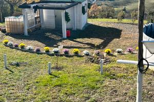 Terreno agricolo a reddito