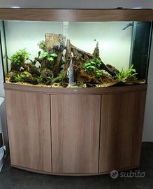 acquario juwel vision