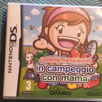 Gioco Nintendo DS