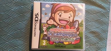 Gioco Nintendo DS