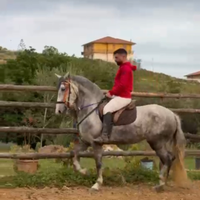 Cavalla andalusa