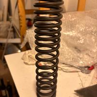 Molla ammortizzatore ant