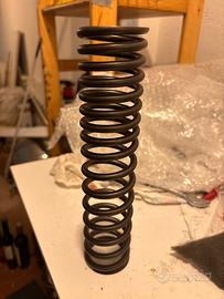 Molla ammortizzatore ant