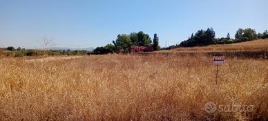 Terreno agricolo zona Su Pardu Sestu