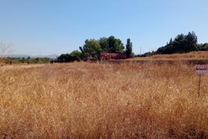 Terreno agricolo zona Su Pardu Sestu