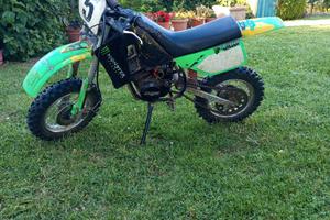 Mini moto Grizzly 10