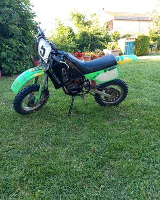 Mini moto Grizzly 10