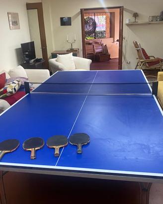 Tavolo da ping pong Panguéa 700i Limited