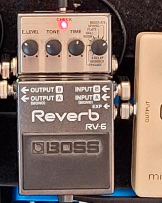 Boss RV-6