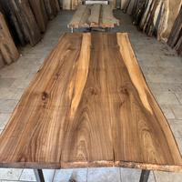 Olmo e altre essenze