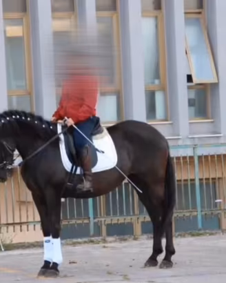 Cavalla