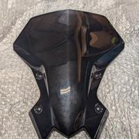 Cupolino Kawasaki Z900