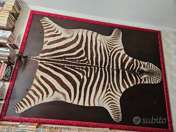 Pelle di zebra incorniciata