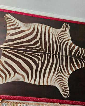 Pelle di zebra incorniciata