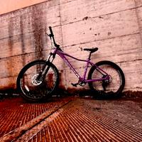 Bike da  fuoristrada