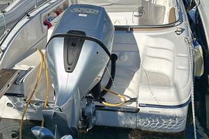 Motore fuoribordo 225