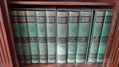 Enciclopedia Motta Scienze Naturali