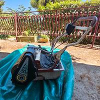 Elettrospugna Berta ADV Raimondi