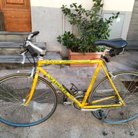 Bici da corsa vintage (Viner anni ‘70)-campagnolo