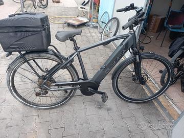 olympia magnum 500