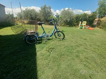 Bici a tre ruote elettrica