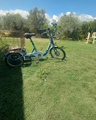 Bici a tre ruote elettrica