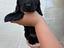 Immagine 3