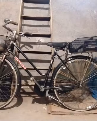 Bicicletta Sperone con doppio cestino